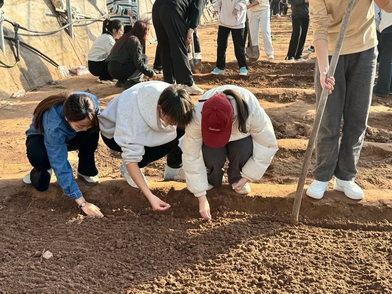 微信图片_20241214232210 - 副本.jpg